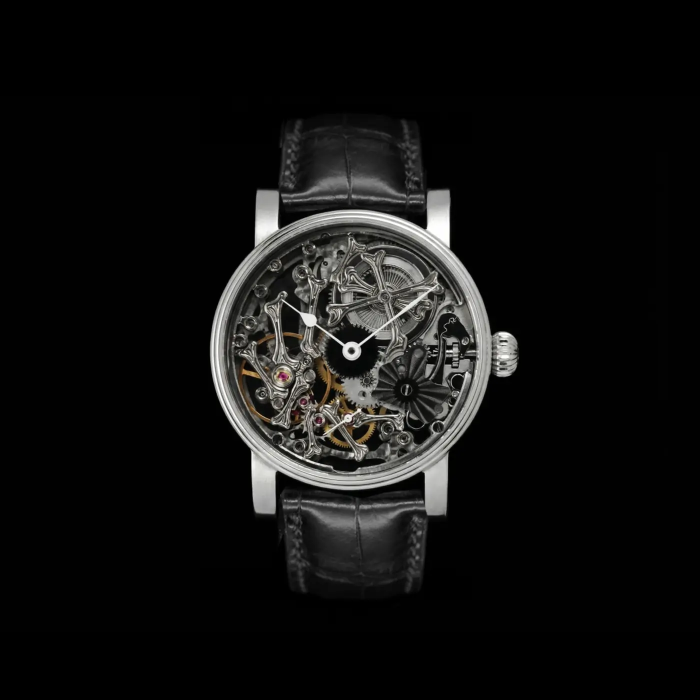 Schaumburg Watch Paläonhorologie